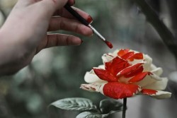 Poutyprxncess:  ~Painting Beauty With Lies~