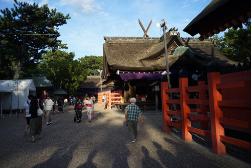 住吉大社の夏祭り。茅葺の屋根がきれいでした。