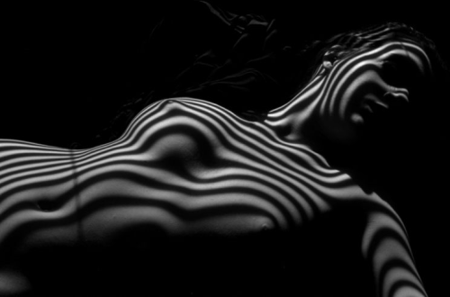 Porn  Lucien Clerge - Zebra Nude (1997-2012)  photos