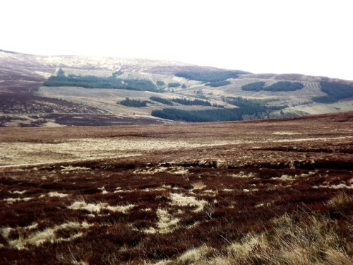 Wicklow Mountains National Park, Ireland, 2013.