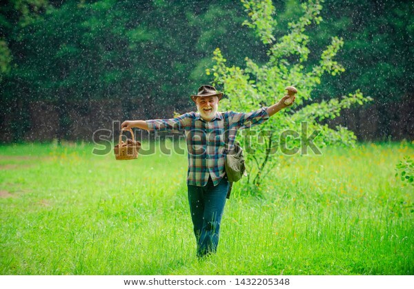 Old bearded man holding a mushroom in one hand and a basket of mushrooms in another, caught in a sun shower. 