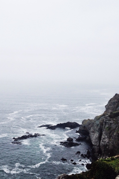 asimplekindofperson:Quality Vintage/Nature blog here :)
