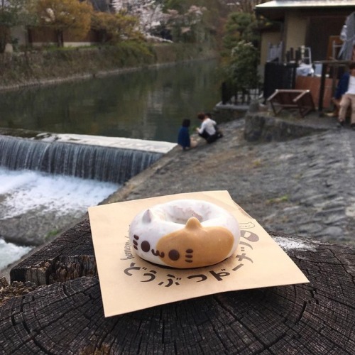 50-km:www.instagram.com/p/BhBX_pyH5Au/?