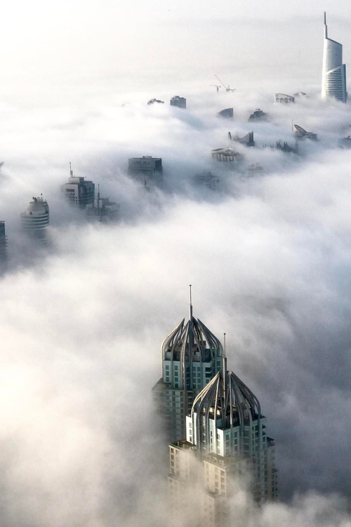 Sea of Clouds in Dubai ☁️INSTAGRAM