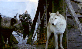 tumblr_pc8fjblZYq1r6n5y0o5_r1_400.gif