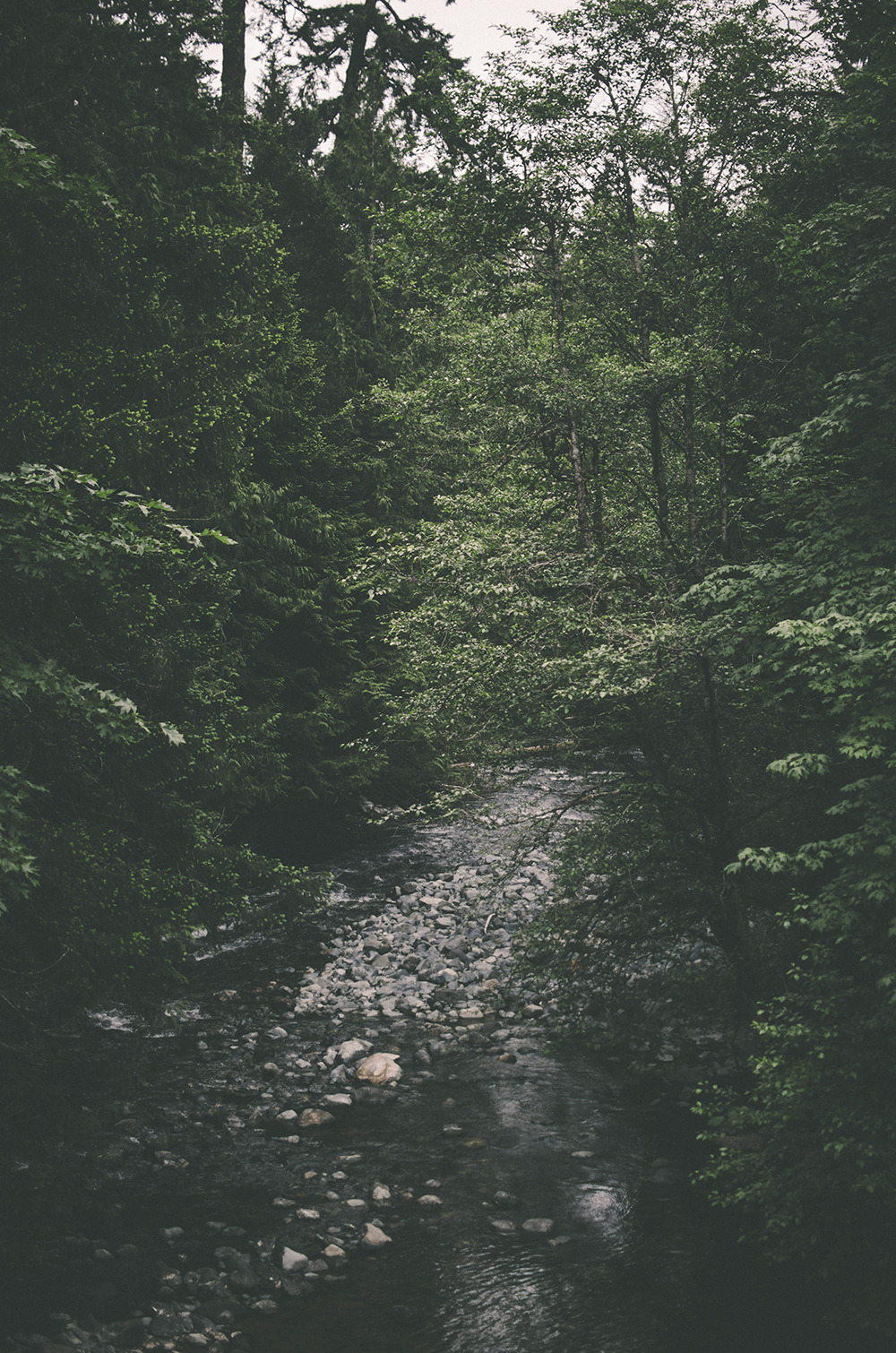deeplovephotography:  instagram | flickr | facebook  