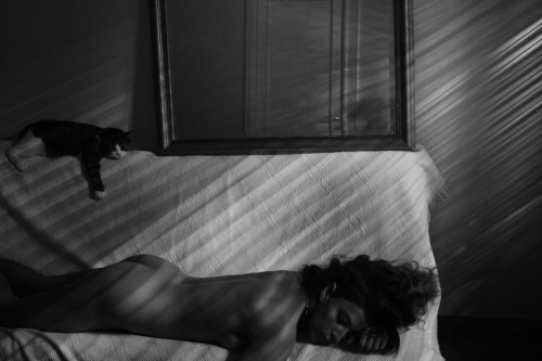 dissolvedtool:  Girl with the cat …3 