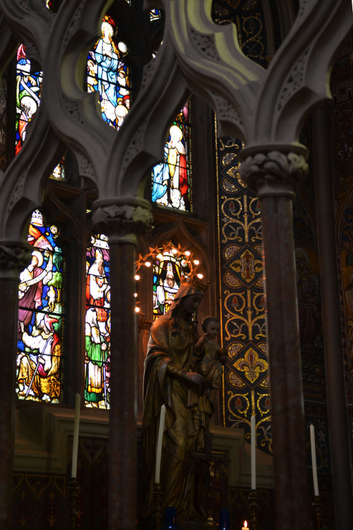 gothic-vixxen: St. Patrick’s Church, Dundalk, Ireland