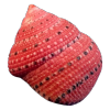 red shell