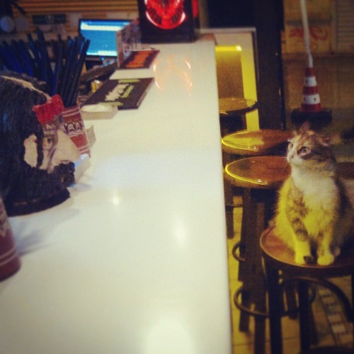 best customer ever: kali! #kali #rasputin (Bar Rasputin)