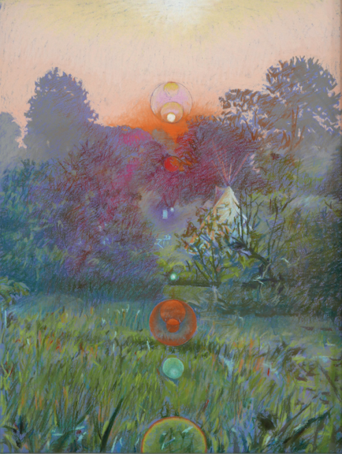 pinkstarlightcomputer:Morning Dew Orange by Paul Jacobson. 2019, Pastel on paper.