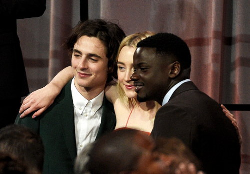 tchalametdaily: Timothée Chalamet &amp; Saoirse Ronan &amp; Daniel Kaluuya 90th Annual Academy Award