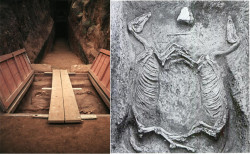 coolartefact:  Horse burial, Mycenaean Tholos Tomb, Marathon, 1450-1380 BCE Source: https://imgur.com/FLbQqxW
