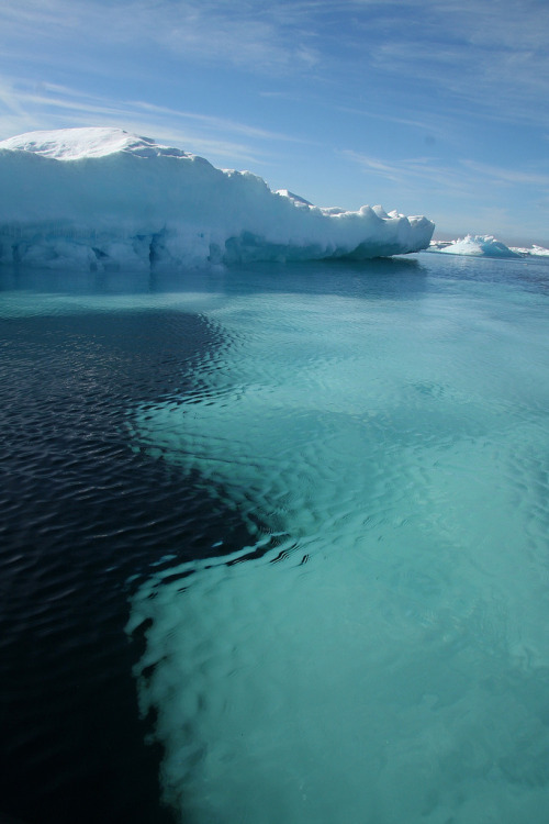 4nimalparty:  sea ice (by farflungphotos) 