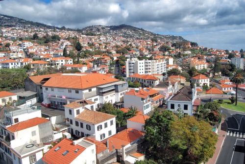 Funchal - Madeira - Portugal (by annajewelsphotography) Instagram: annajewels