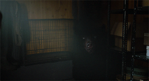 Cocaine Bear (2023) Dir. Elizabeth Banks 