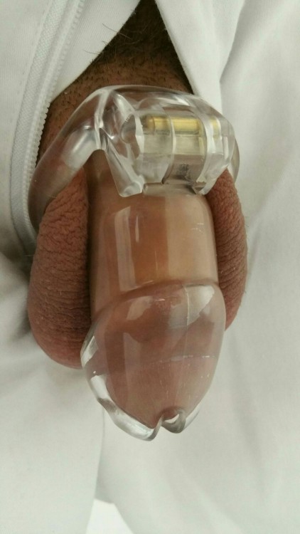 ff-piglet:  Day 2 and oh so horny - last night marathon assplay and selffisting didn’t help at all. No cum since sunday morning and I feel like I’m gonna burst! Keep touching my cage for relief, but the hard plastic give me nothing! #fustrated #chastity