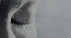 watsrn:I always hear “punch me in the face” when you’re speaking, but it’s usually subtext.