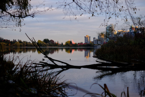 autumn - lost lagoon, stanley parkvancouver, bc