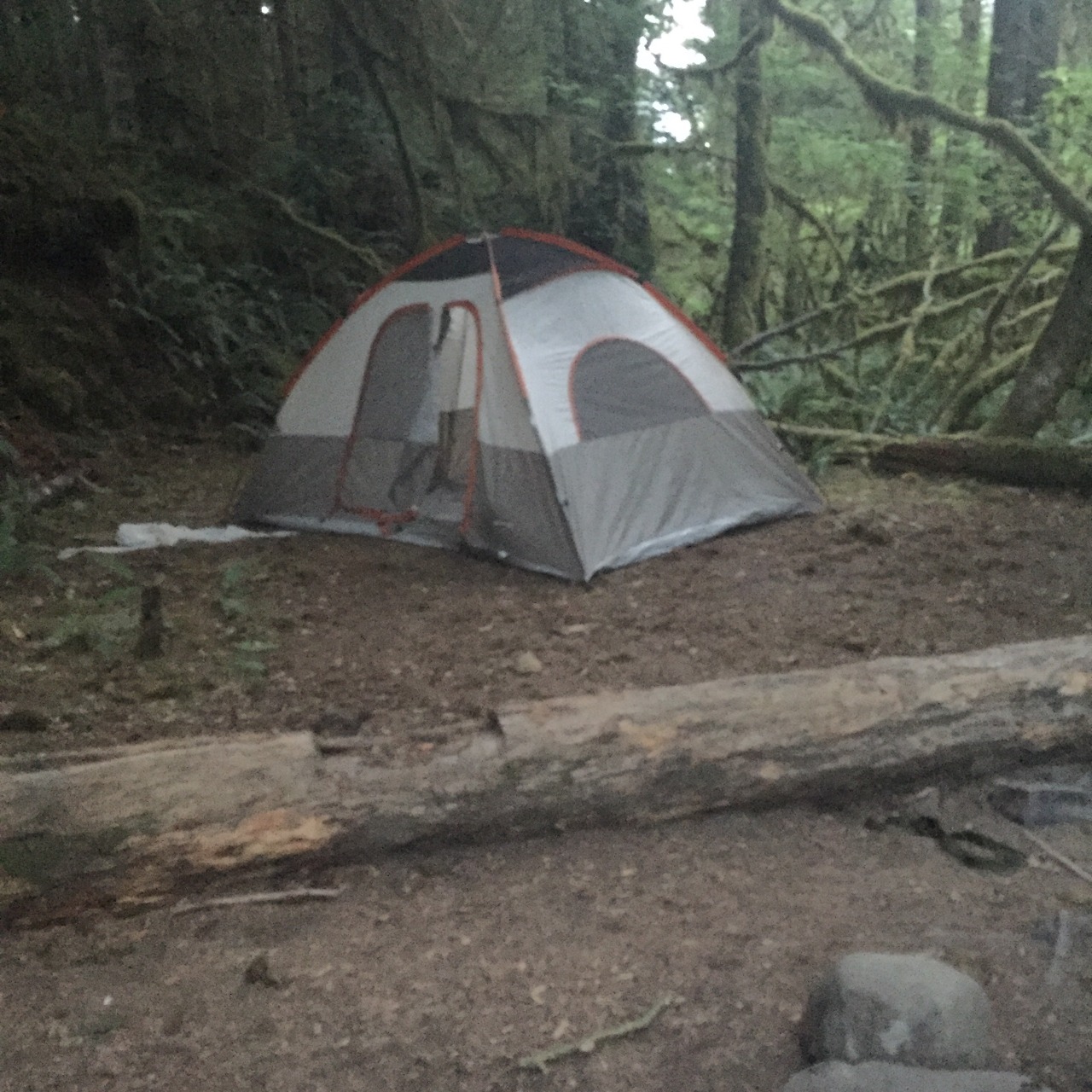 God I love living in the PNW! Mini camping adventure out by Forks with @dozer09 @quadjunky