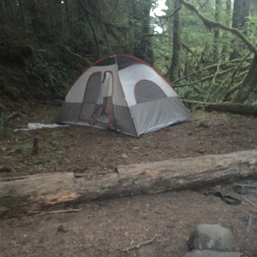 dozer09:  mossyoakmaster:  God I love living in the PNW! Mini camping adventure out by Forks with @dozer09 @quadjunky and one of my other favorite lesbians Abby haha, she let me drive her powerstroke and I want it hahaha  Was a nice trip. Need to clear