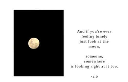 silly-luv:  ♡ find your best posts on my blog ♡