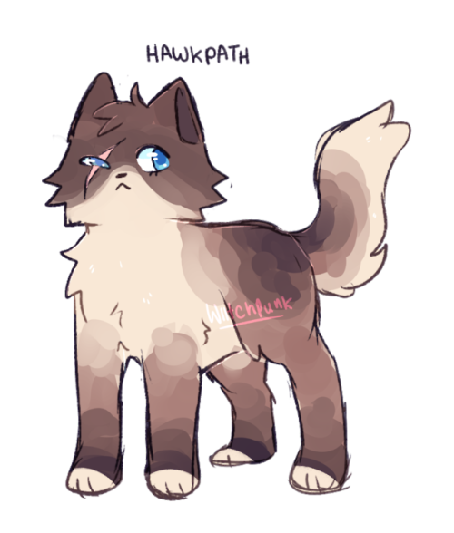my 3 warrior cats ocs…hawkpath: she’s a thunderclan cat. she used to be my old self insert bu