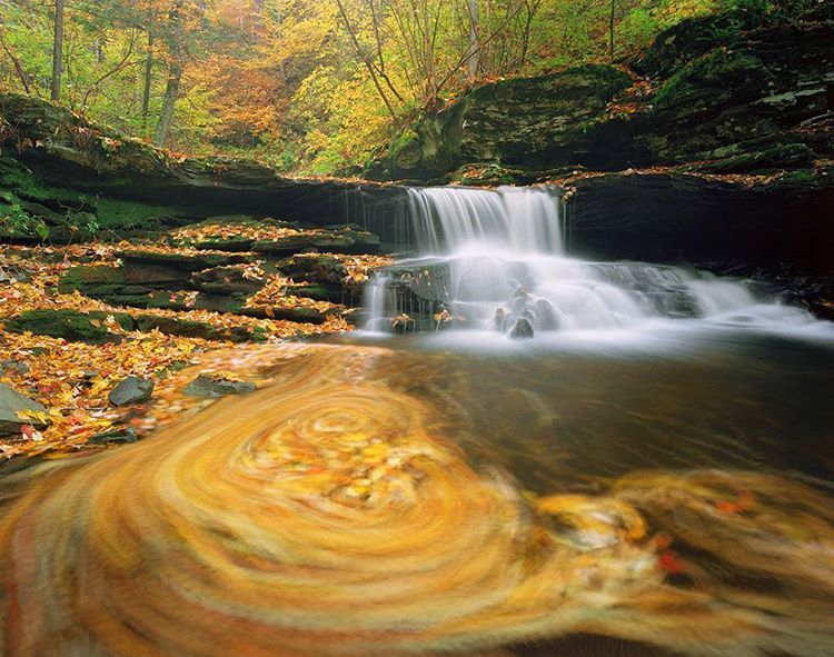 alexburkephoto:  Brilliant autumn leaves swirl about in a pool below a waterfall,