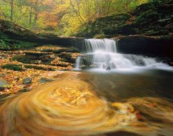 Alexburkephoto:  Brilliant Autumn Leaves Swirl About In A Pool Below A Waterfall,