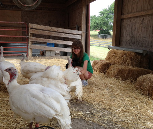 a photo of me (verybluebirdy) with the turkey girls at Farm Sanctuary in Watkins Glen!! they were so