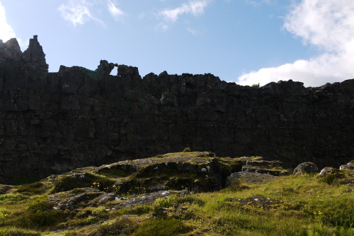 Iceland {a scenic selection}