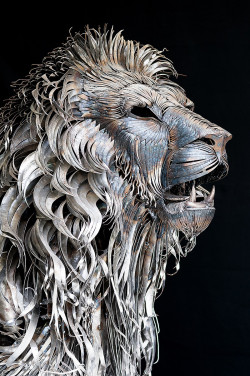 republicx:  Metal Lion sculpture by Selçuk Yılmaz  This is just amazing and breathtaking! This Turkish artist has created a majestic metal lion sculpture from 4,000 piecies of hammered metal.  