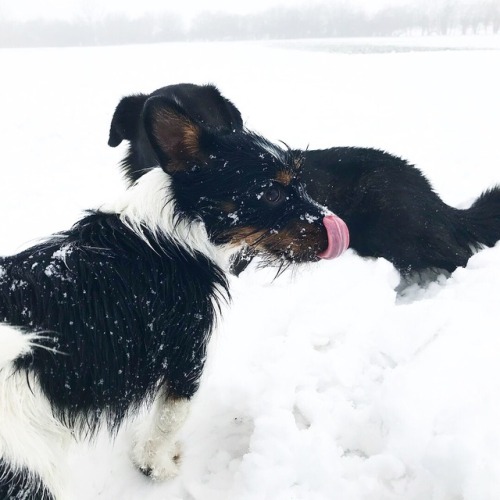 Photo shoot in the snow