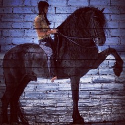 I&Amp;Rsquo;D Rather Be Doing What She&Amp;Rsquo;S Doing. #Horse #Graffiti #Friesian