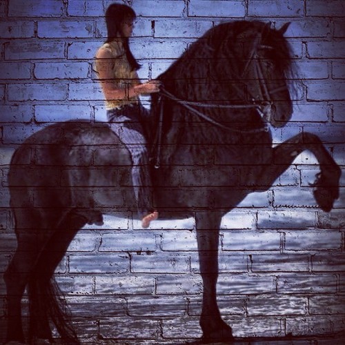 I’d rather be doing what she’s doing. #horse #graffiti #friesian #awesome