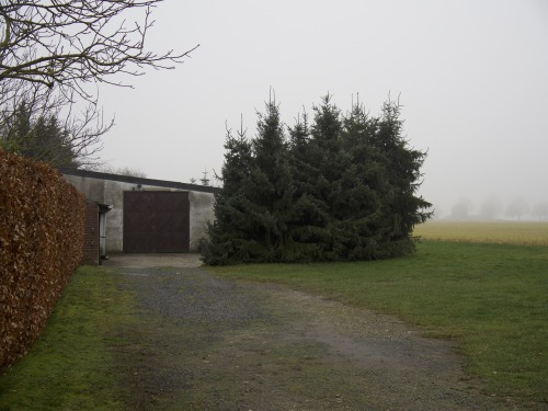 rural impression in wintry haze left lower rhine area, germany // 12-2019