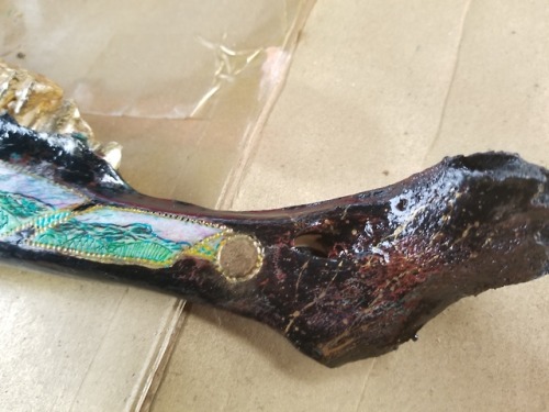 °Connected° Dremel carving, India ink and gold leaf on Bison jaw