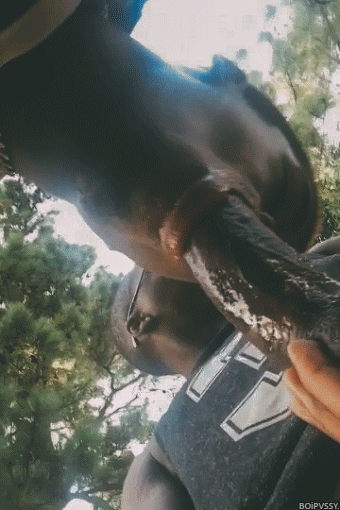 black-dicks-r-us:  FIND BLACK GAY SEX! Over 500,000 Profiles…  www.BlackM4M.com