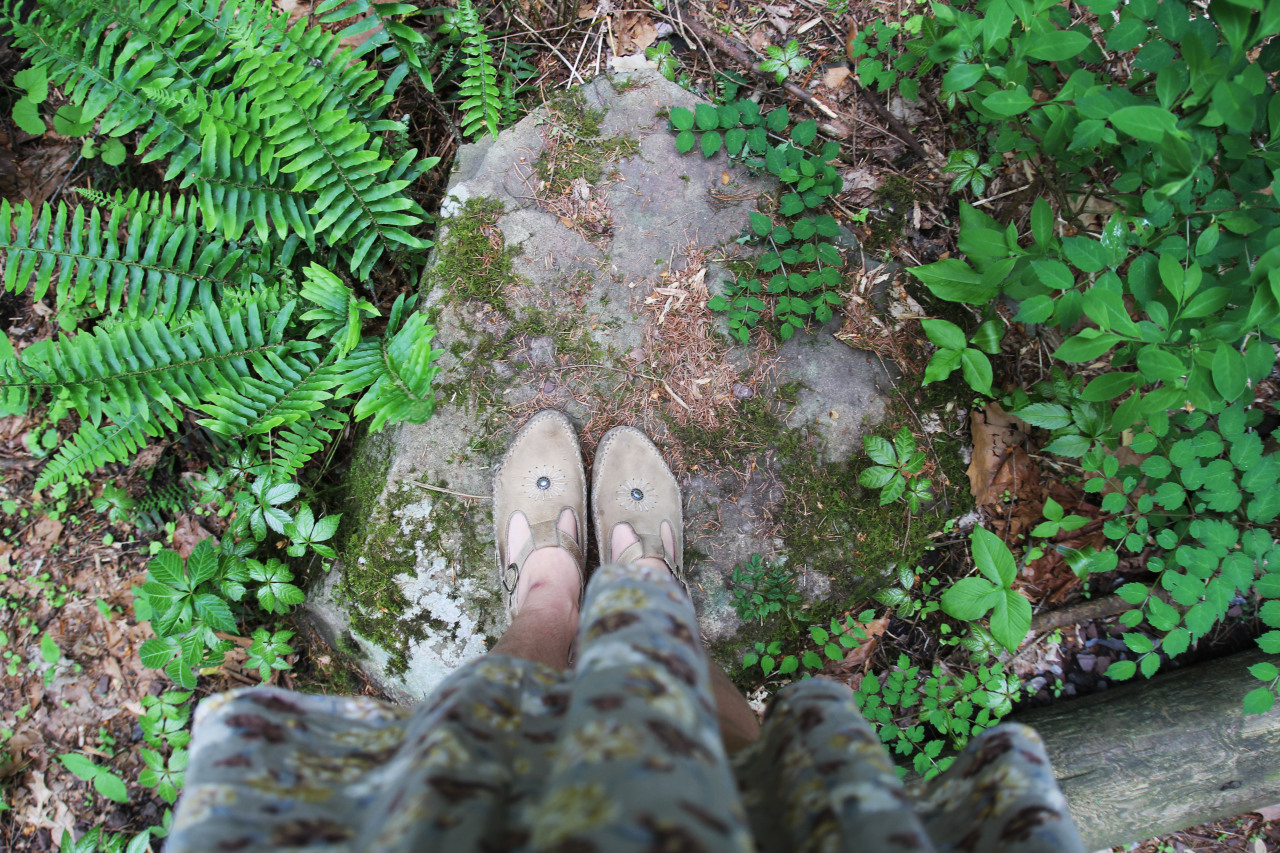 waterprouf:  nature/lucid