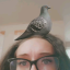lilpidgey