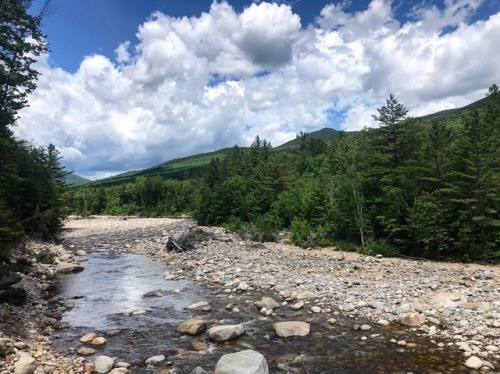 wiildness:White Mountains in New Hampshire | Photo Credit: Alecia Colella (2019)please don’t d