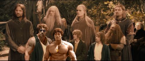 IF FRODO AND SAM WERE THE BUFFEST, TOUGHEST MEMBERS OF THE FELLOWSHIP, PULLING THE WHOLE TEAM.