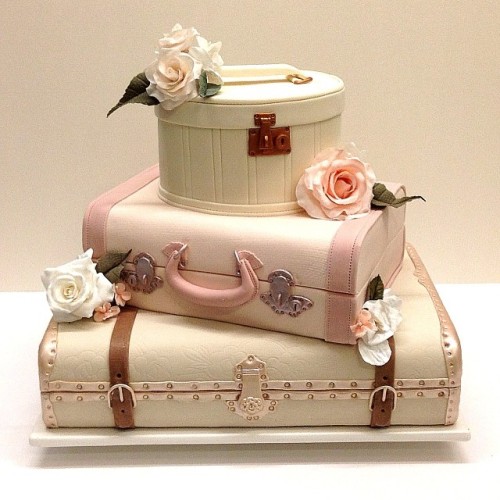 This Is Not Luggage | Jasmineraecakes 