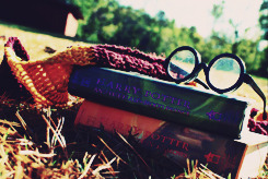daleyprophet:   An endless list of books you should read - Harry Potter books, by Jk Rowling  