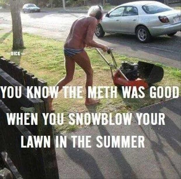 dnacowboy:  WHO OR WHAT I SNOWBLOW IS NONE OF YOUR GODDAMN BUSINESS!!! NOSY KIDS!