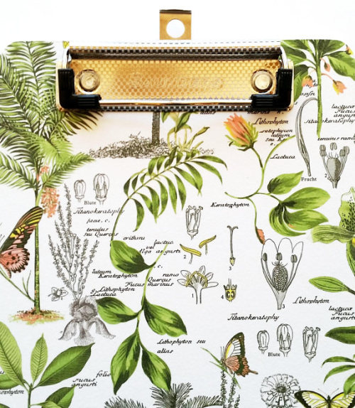 Botanical Clipboard //GiftsNThisNThat