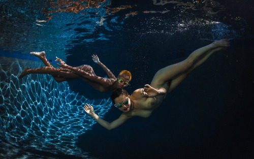 openbooks:“Circling Their Prey….”Zuri and Cacia underwater in Palos Verdes, CA. July 2016