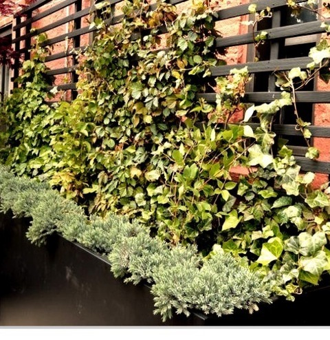 New York Uncovered DeckInspiration For A Medium-sized, Open-air, Modern Rooftop Deck Renovation