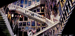 ϟ Harry Potter Meme |  ten anything [8/10] - Hogwarts Staircases There were a hundred and forty-two 
