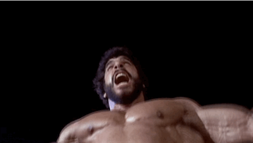 builddudebuild:aestheticsinmotion:Old-school aesthetics: Lou Ferrigno in “Hercules”